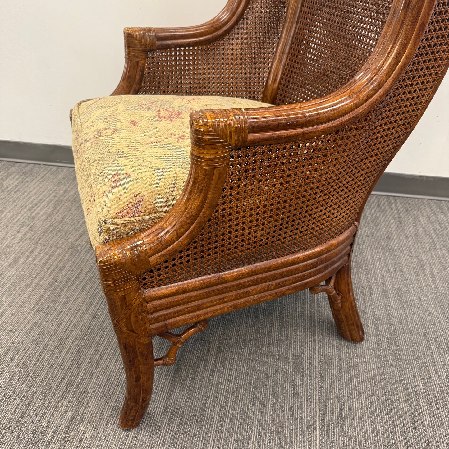 Vintage Venture Excursion Double Cane Wingback Chair