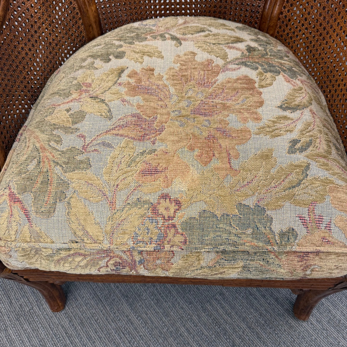 Vintage Venture Excursion Double Cane Wingback Chair
