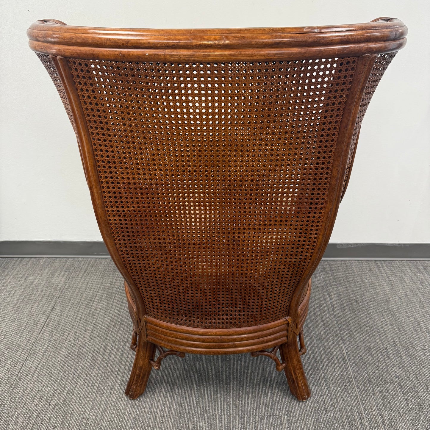 Vintage Venture Excursion Double Cane Wingback Chair