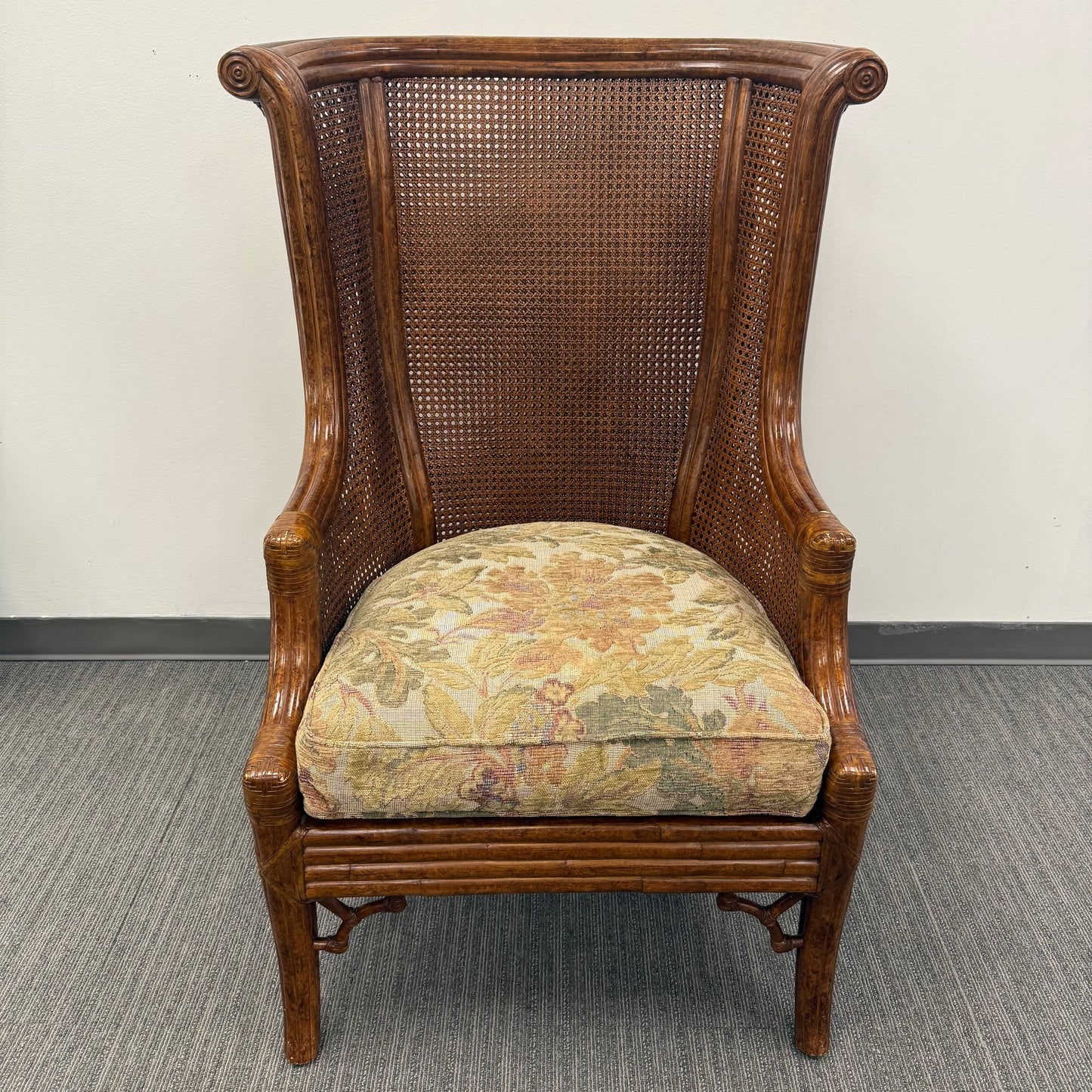 Vintage Venture Excursion Double Cane Wingback Chair