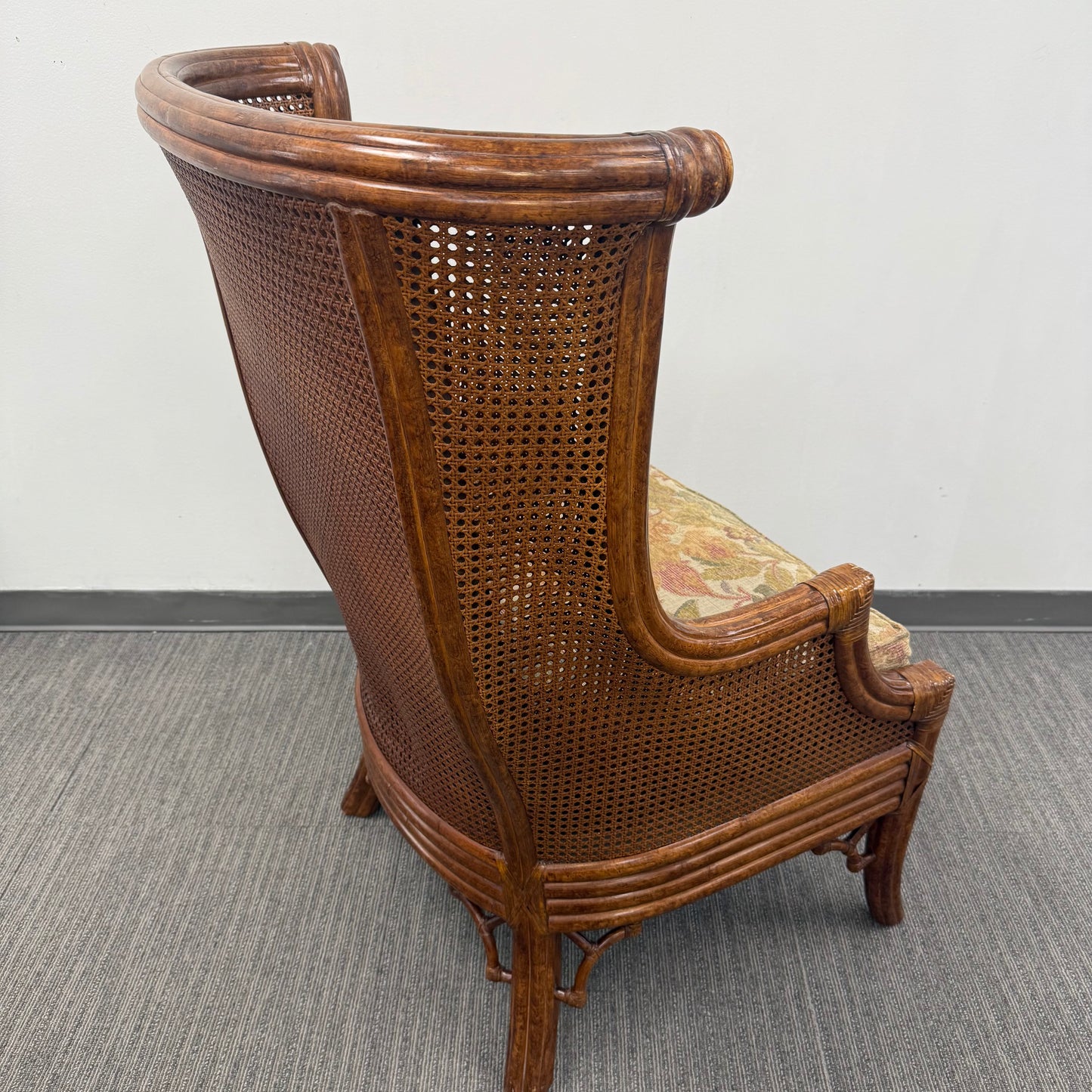 Vintage Venture Excursion Double Cane Wingback Chair