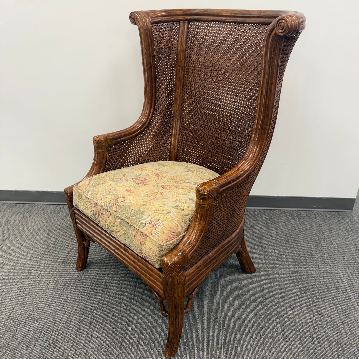 Vintage Venture Excursion Double Cane Wingback Chair