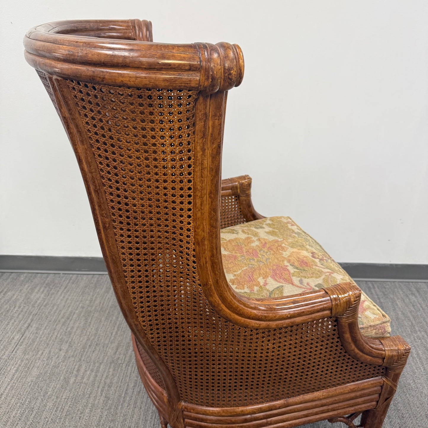 Vintage Venture Excursion Double Cane Wingback Chair