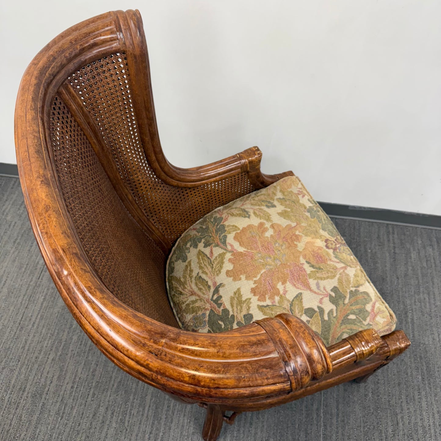 Vintage Venture Excursion Double Cane Wingback Chair